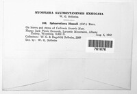 Image Associated With the Occurence